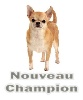 - Nouveau Champion International