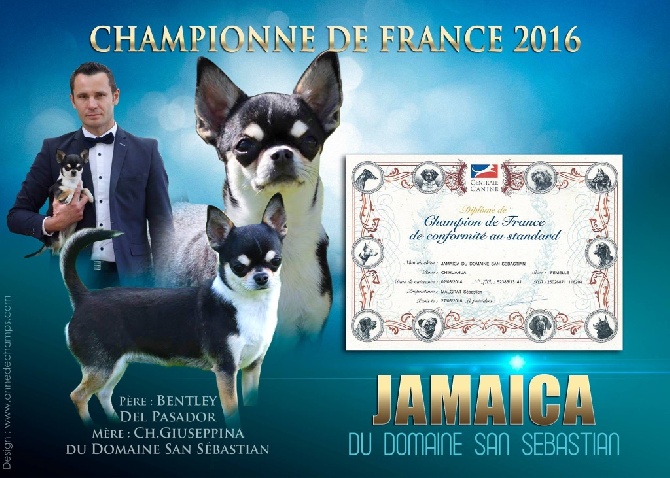 du Domaine San Sébastian - Championne de France 2016