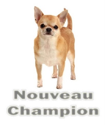 du Domaine San Sébastian - Nouveau Champion International