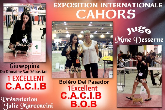 du Domaine San Sébastian - Exposition Internationale Cahors