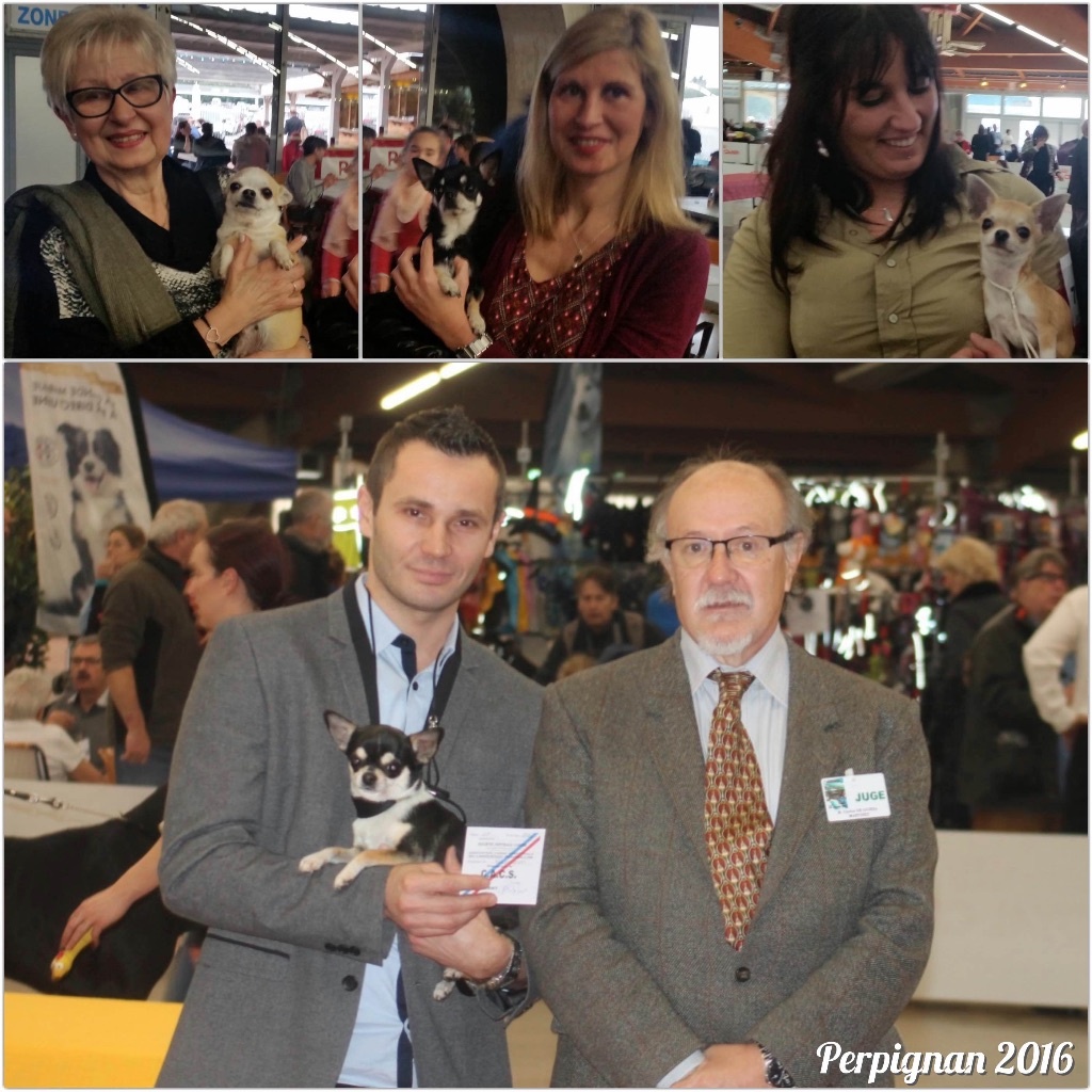 du Domaine San Sébastian - Perpignan 2016