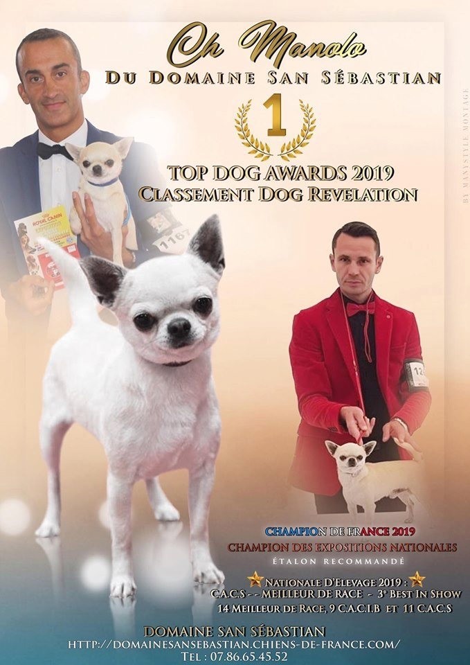 du Domaine San Sébastian - TOP DOG REVELATION