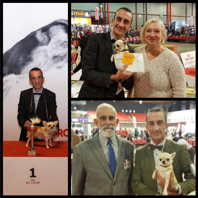 du Domaine San Sébastian - Martigues 2019