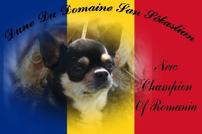 du Domaine San Sébastian - Championne De Roumanie