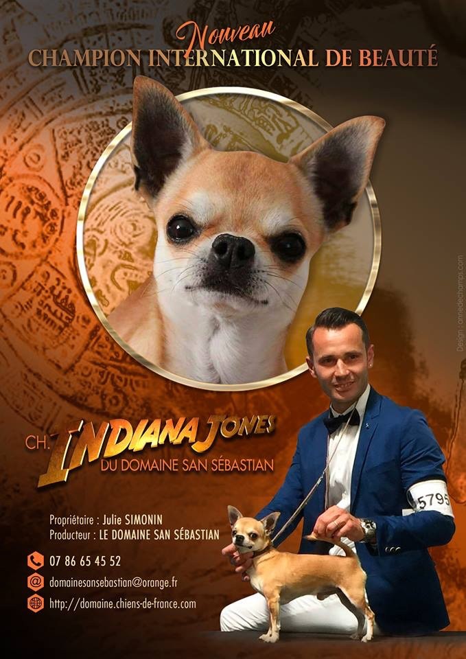 du Domaine San Sébastian - Nouveau Champion