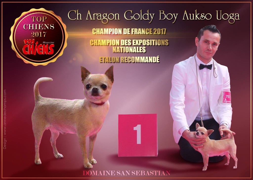 du Domaine San Sébastian - TOP CHIENS 2017