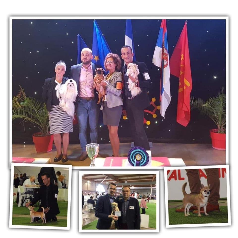 du Domaine San Sébastian - Exposition Nationale Béziers