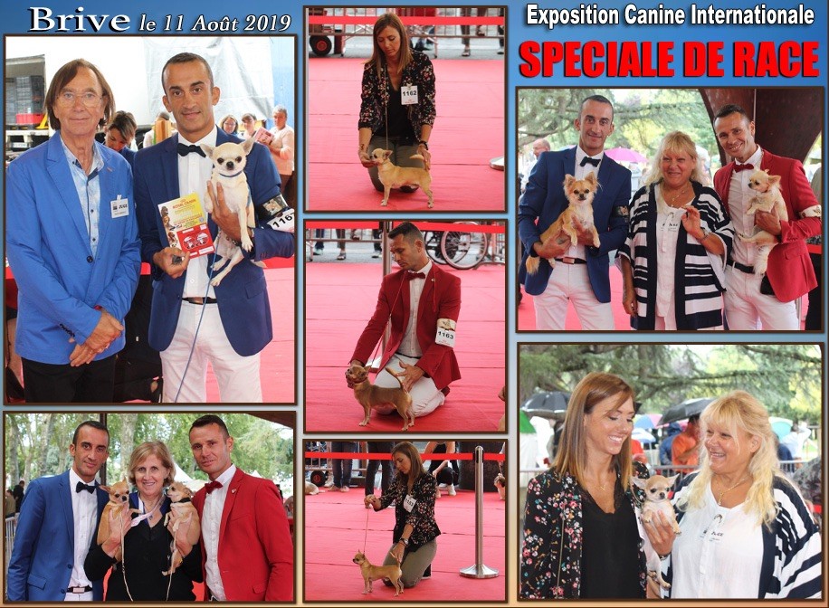du Domaine San Sébastian - SPECIALE DE RACE BRIVE