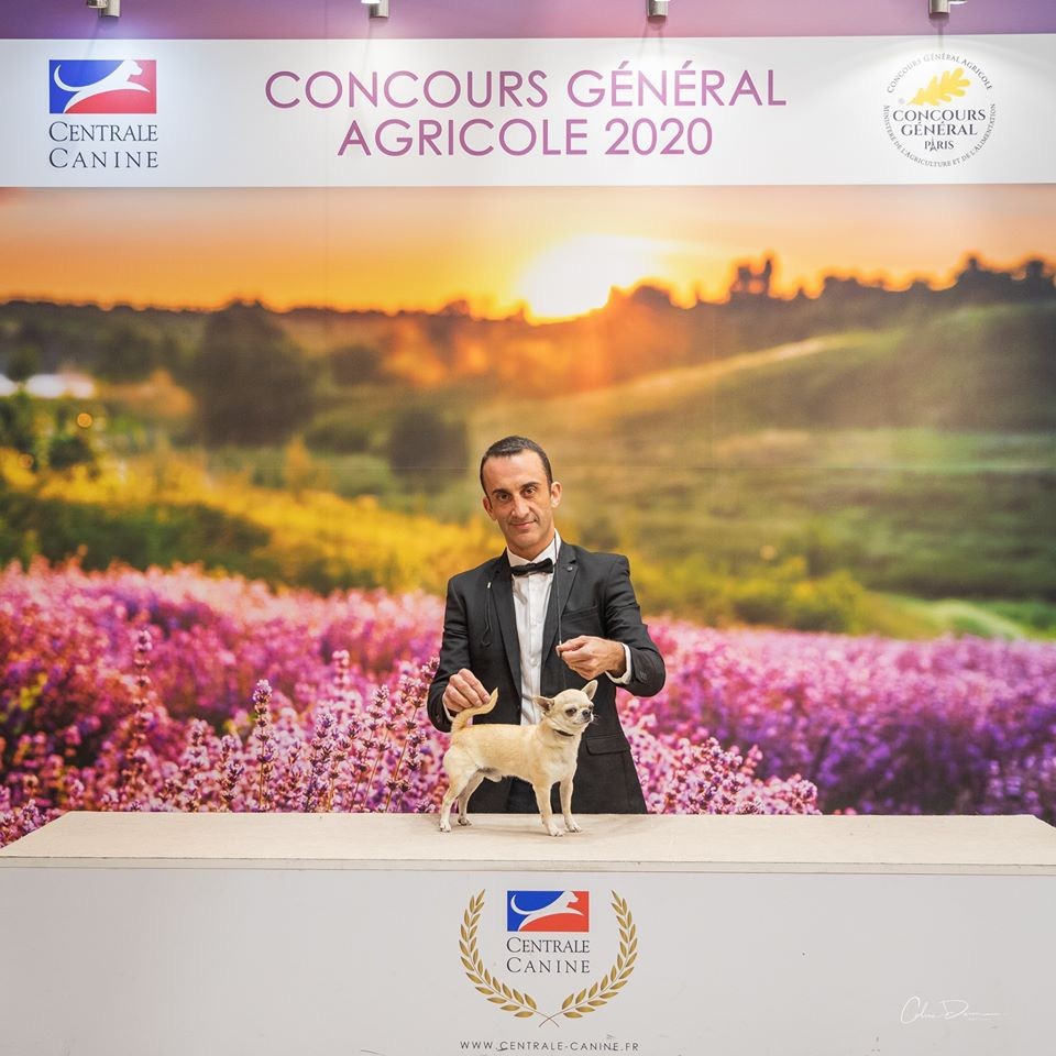 du Domaine San Sébastian - Concours Général Agricole Paris