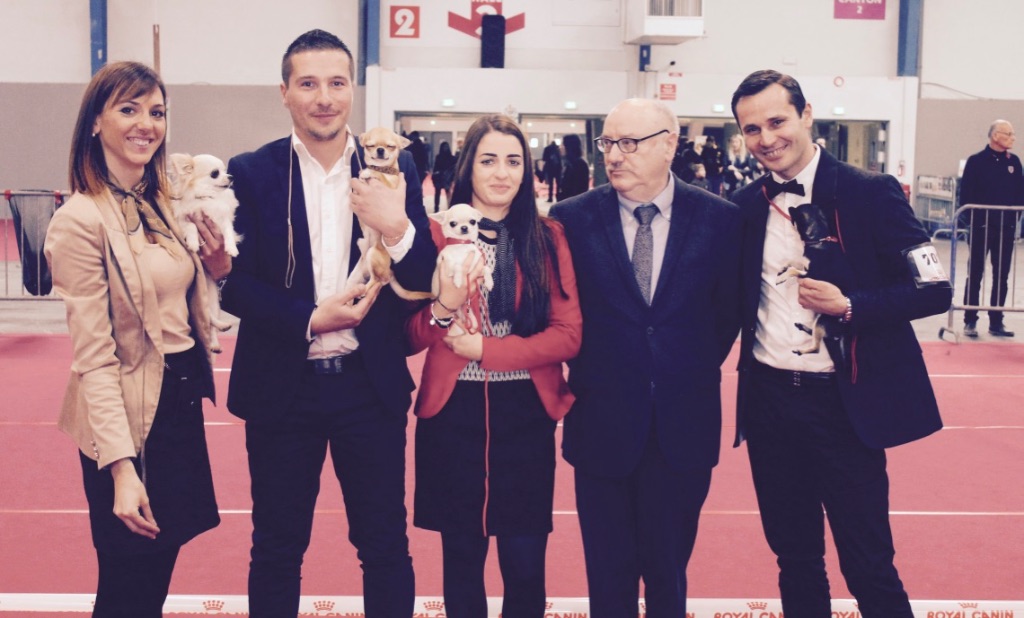 du Domaine San Sébastian - Exposition Internationale Toulouse 2017