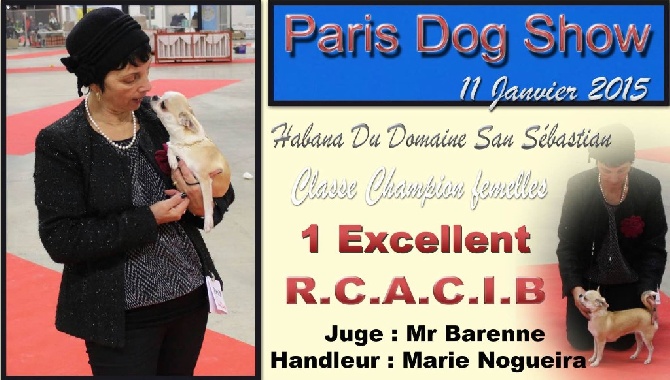 du Domaine San Sébastian - Paris Dog Show