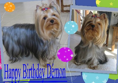 du Domaine San Sébastian - Démon fête ses 2 ans...