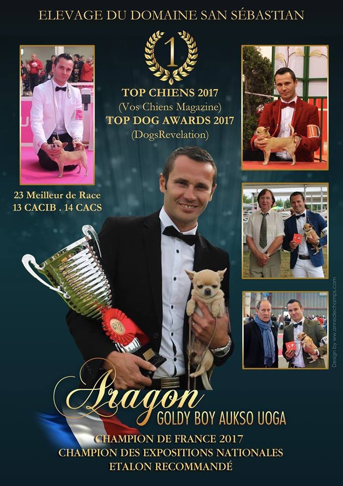 du Domaine San Sébastian - TOP CHIENS 2017