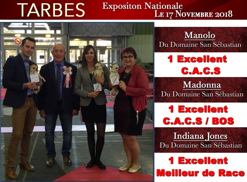 du Domaine San Sébastian - Exposition Nationale Tarbes