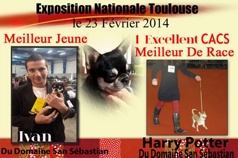 du Domaine San Sébastian - Exposition Nationale Toulouse