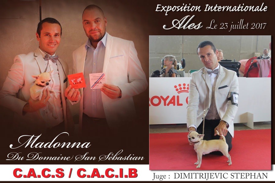 du Domaine San Sébastian - Exposition Internationale Ales