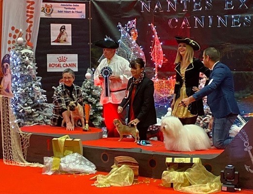 du Domaine San Sébastian - SPECIALE DE RACE NANTES