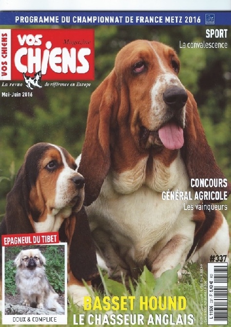 du Domaine San Sébastian - Classement Vos Chiens