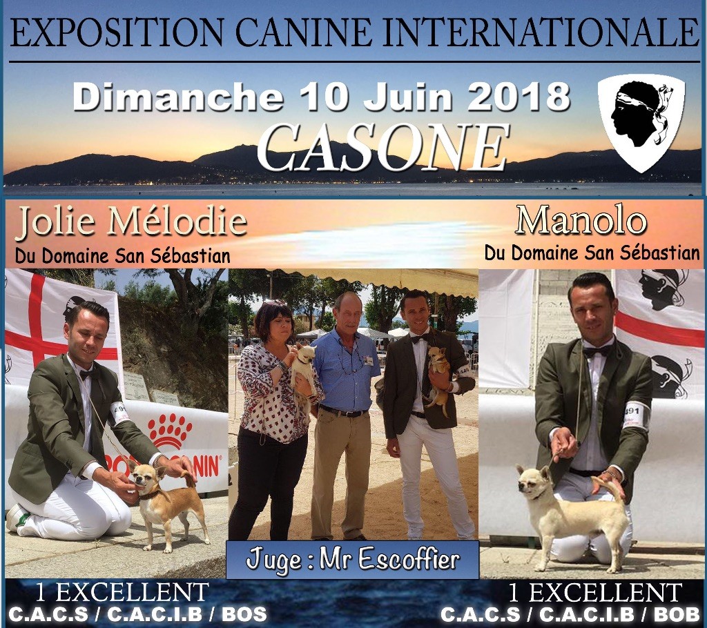 du Domaine San Sébastian - Exposition Internationale CORSE