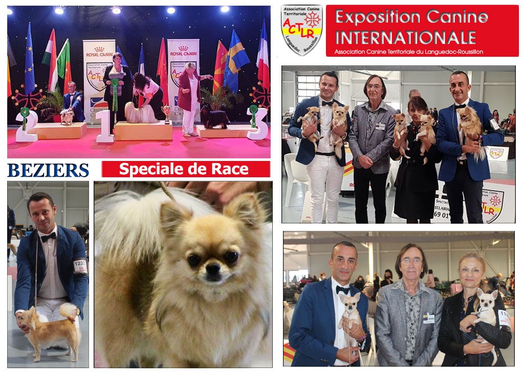du Domaine San Sébastian - Spéciale de Race Beziers du 17 Octobre