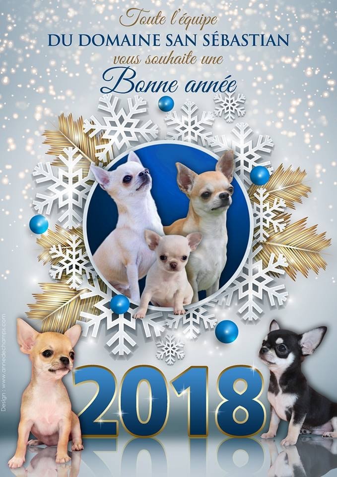 du Domaine San Sébastian - Bonne et Heureuse Année 2018