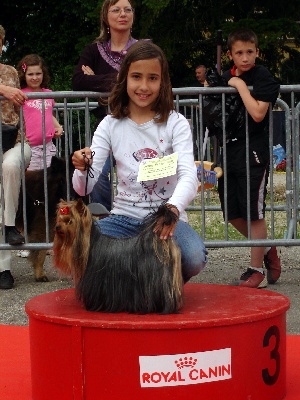 du Domaine San Sébastian - Exposition Castelnaudary