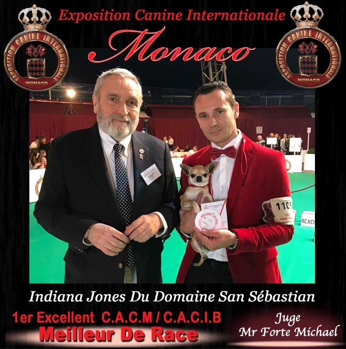 du Domaine San Sébastian - Exposition Internationale de Monaco