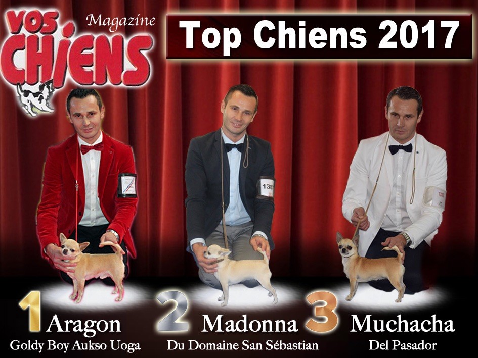 du Domaine San Sébastian - Classement TOP CHIENS 2017