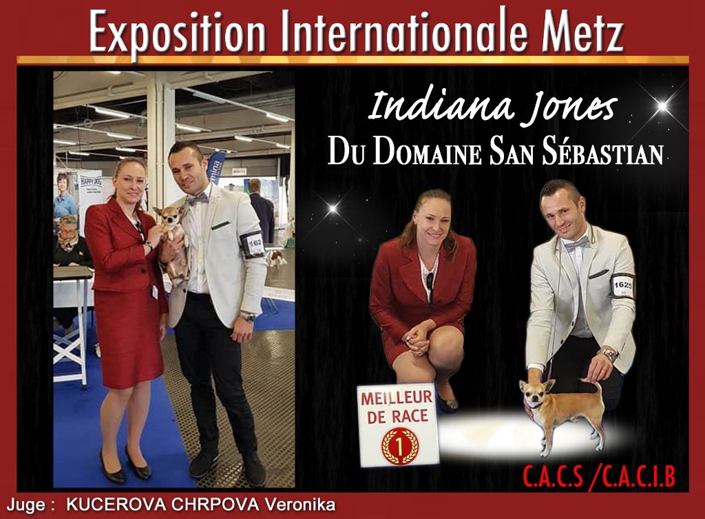 du Domaine San Sébastian - Expositions METZ 2017