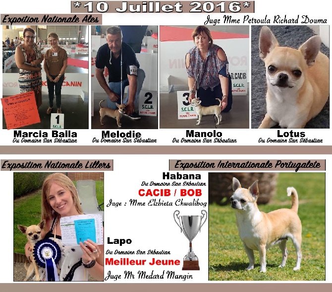 du Domaine San Sébastian - Expositions 10 Juillet 2016