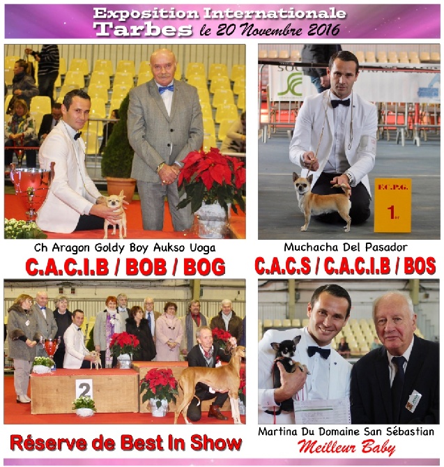 du Domaine San Sébastian - Exposition Tarbes