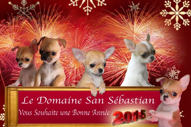 du Domaine San Sébastian - Meilleurs Voeux