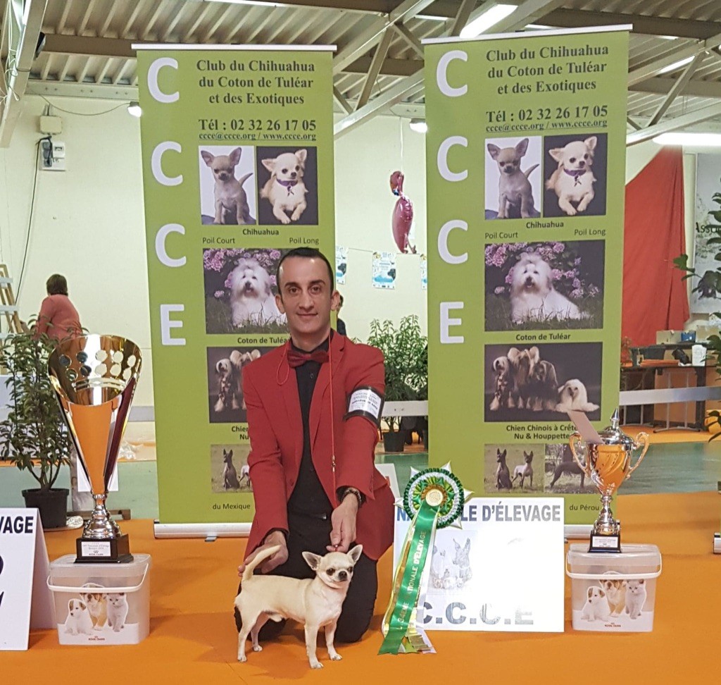 du Domaine San Sébastian - Nationale d'Elevage Bourges 2019