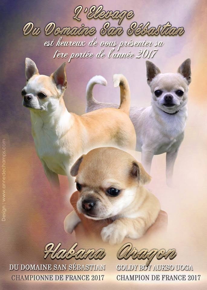 du Domaine San Sébastian - Naissance