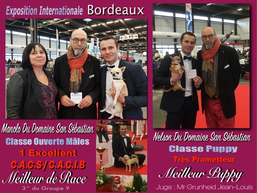 du Domaine San Sébastian - Exposition Internationale Bordeaux