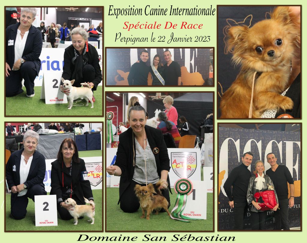 du Domaine San Sébastian - Spéciale de Race Perpignan 