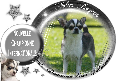 du Domaine San Sébastian - Nouvelle Championne Internationale