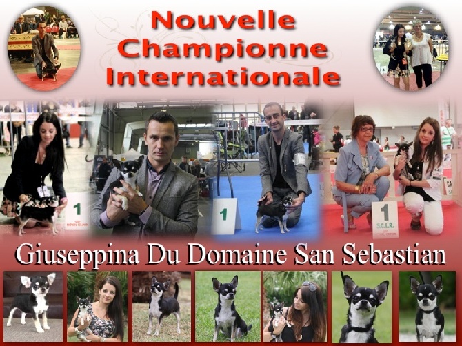 du Domaine San Sébastian - Nouvelle Championne Internationale