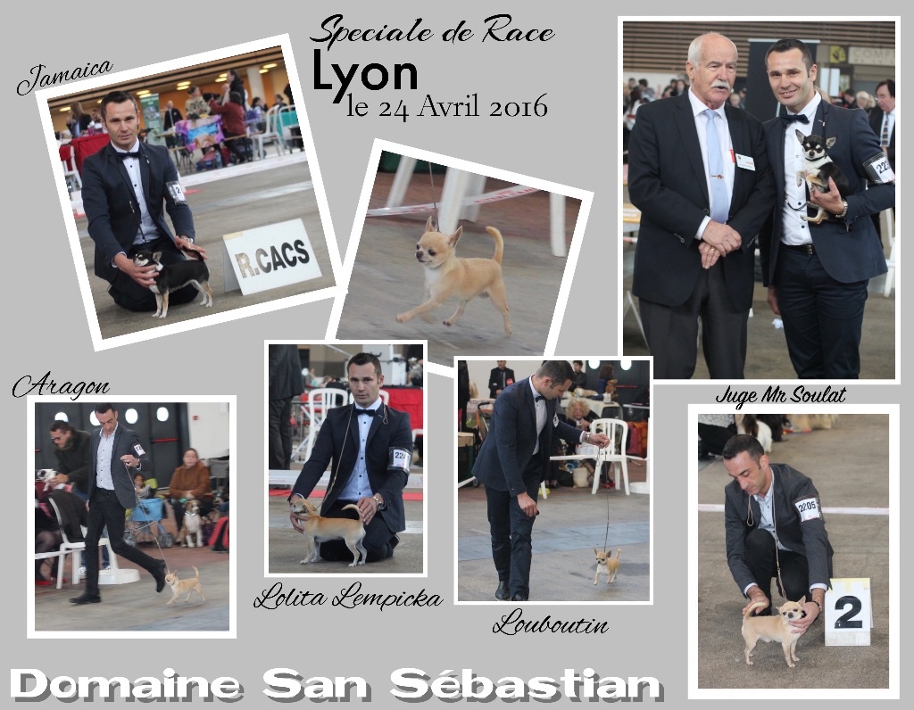 du Domaine San Sébastian - Spéciale de Race Lyon