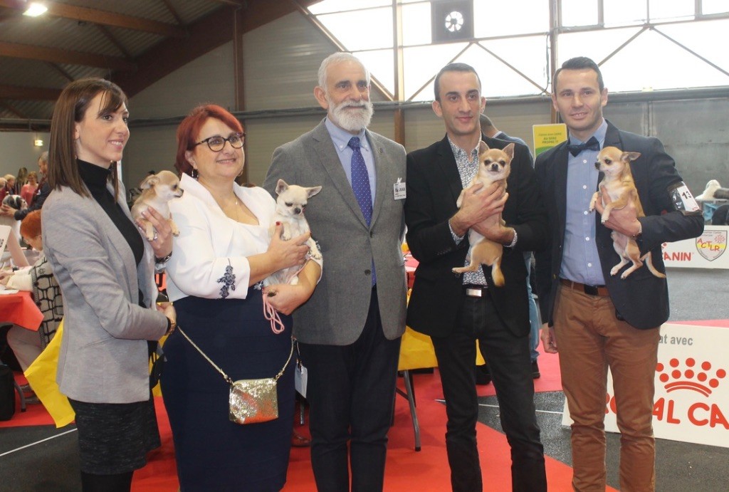 du Domaine San Sébastian - Speciale de Race Perpignan