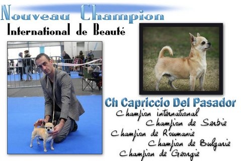 du Domaine San Sébastian - Nouveau Champion International de Beauté