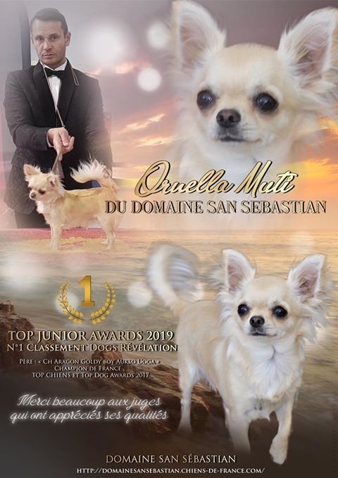 du Domaine San Sébastian - TOP JUNIOR AWARDS