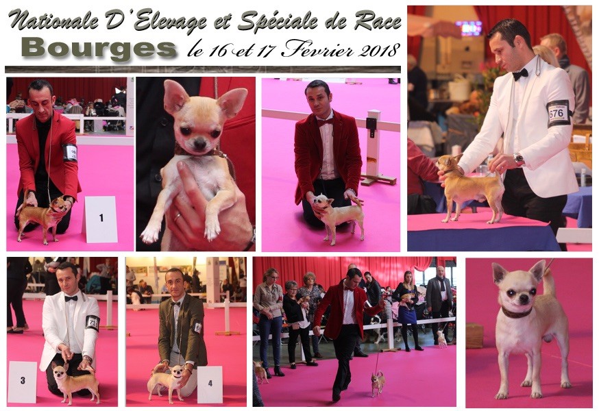 du Domaine San Sébastian - BOURGES 2018