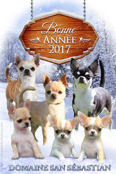 du Domaine San Sébastian - Bonne et Heureuse Année 2017