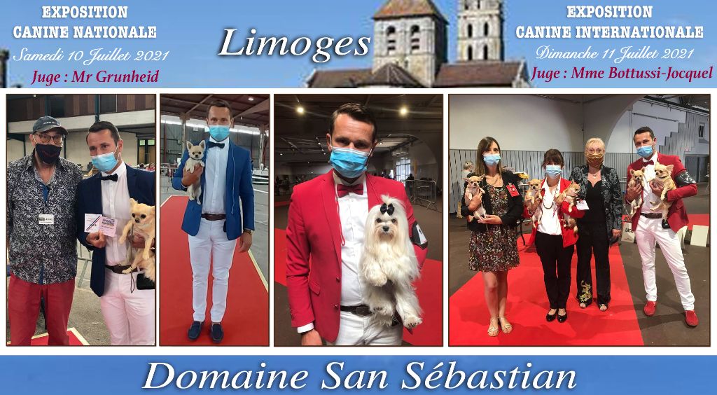 du Domaine San Sébastian - Exposition Limoges