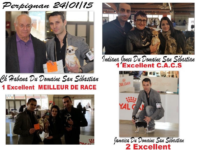 du Domaine San Sébastian - Exposition Nationale Perpignan