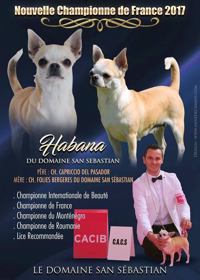 du Domaine San Sébastian - Nouvelle Championne de France 2017