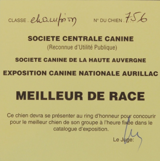 du Domaine San Sébastian - Exposition Aurillac