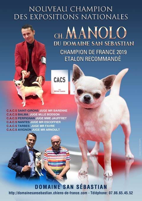du Domaine San Sébastian - Nouveau Champion Des Expositions Nationales