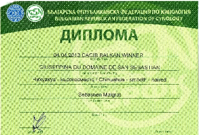 du Domaine San Sébastian - 3 Nouveaux Titres de Champion